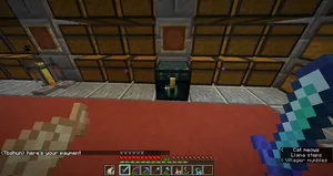 2020-01-12_12.29.54