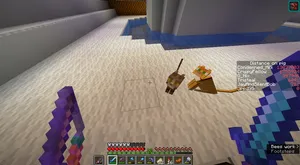 2020-04-23_22.44.38