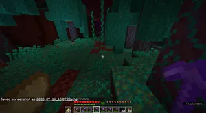 2020-07-16_13.07.24