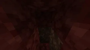 2021-01-28_20.17.01