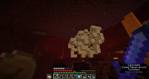 2020-04-16_09.19.16