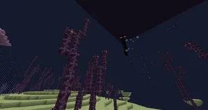 2020-05-03_13.22.08
