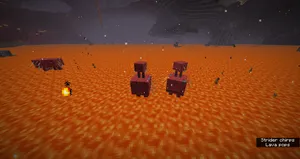 2020-07-01_13.53.05