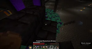 2020-12-29_12.17.47