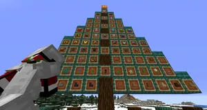 2020-12-29_20.25.03