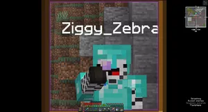 2021-07-03_13.16.03