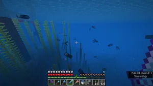 2021-07-01_21.15.55