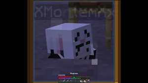 2021-06-28_21.19.54