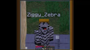 2021-06-29_22.31.06