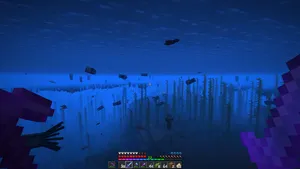 2021-07-05_18.43.43