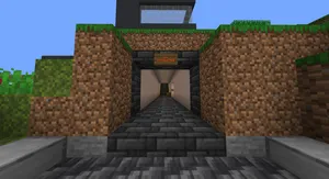 2021-07-06_22.51.13