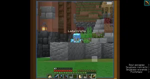 2021-07-07_16.29.05