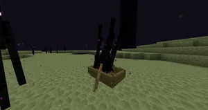 2021-09-01_18.46.04