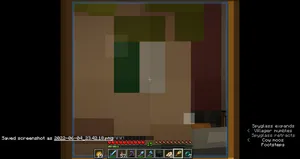 2022-06-04_23.42.21