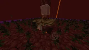 2024-02-25_23.16.35
