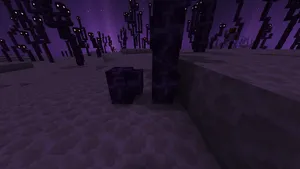 2024-03-10_20.49.00
